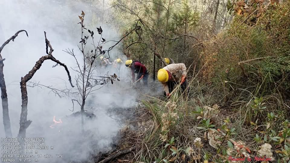 Tlaxcala impulsa reforma para sancionar daños ambientales con mayor rigor