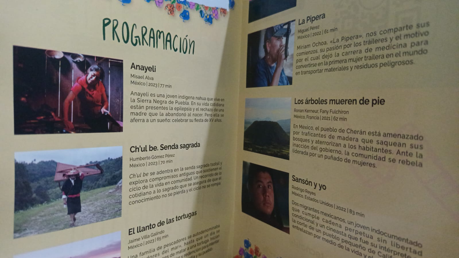 Documentales que inspiran: 7 historias de resiliencia y valentía