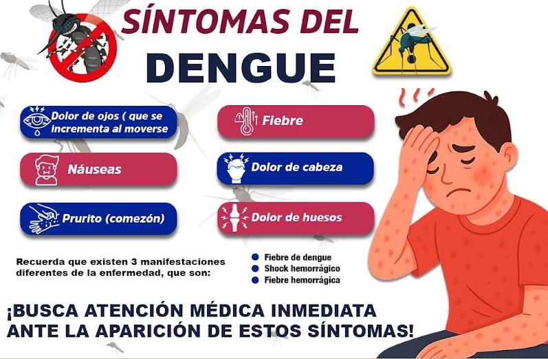 Atlixco refuerza acciones para prevenir el dengue este verano