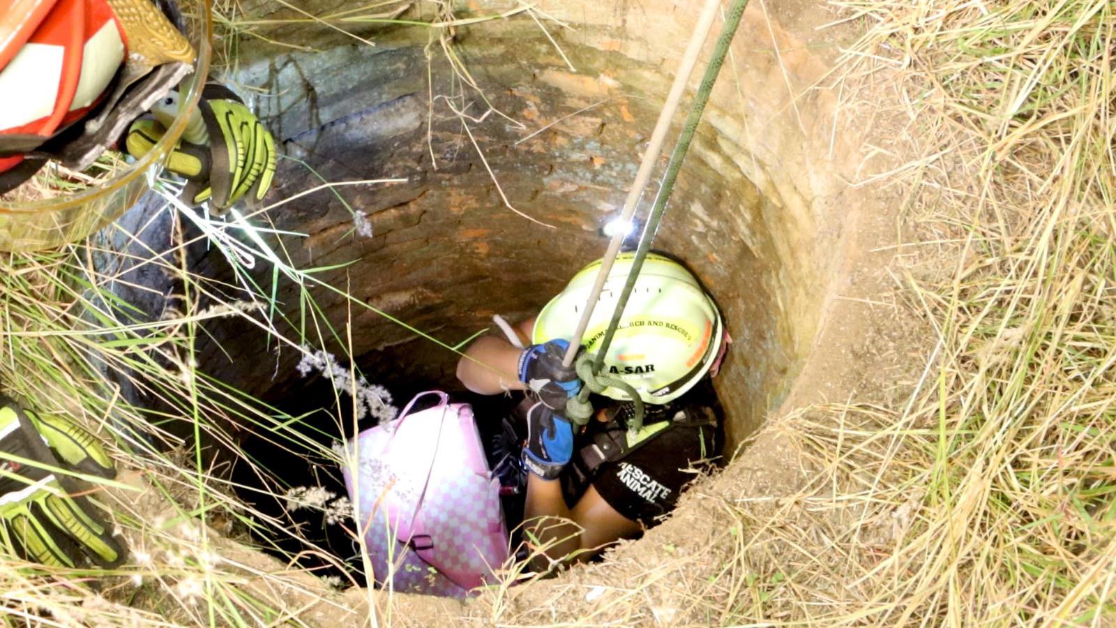 Rescatan con éxito a gato que cayó en un pozo en Cuautlancingo