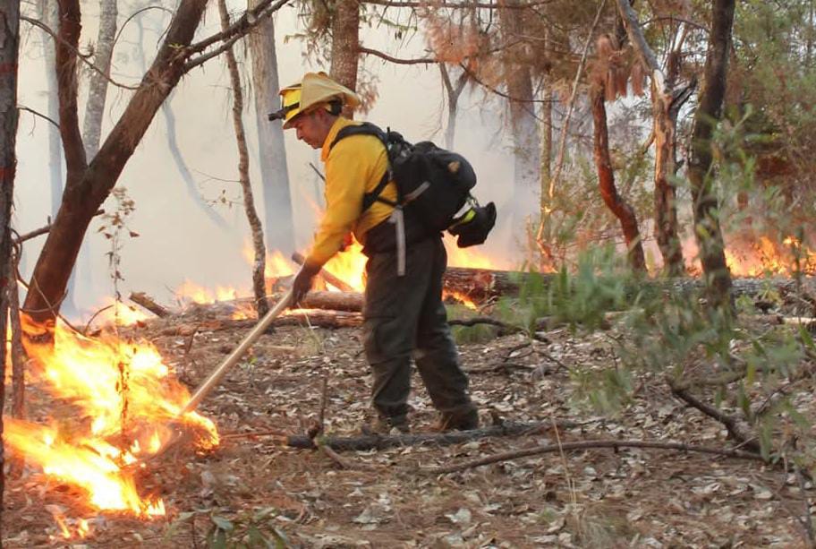 Tlaxcala enfrenta 332 incendios forestales en un año: la mayoría son provocados