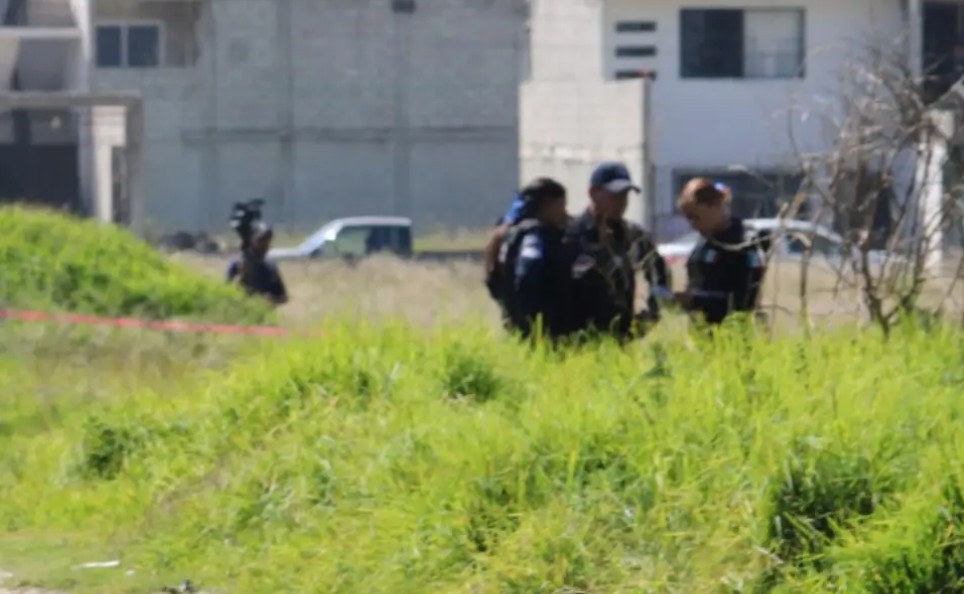 Hallazgo en el paraje Las Ventanas