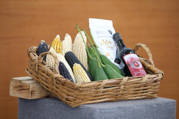 En septiembre iniciará construcción cuatro CIITRA