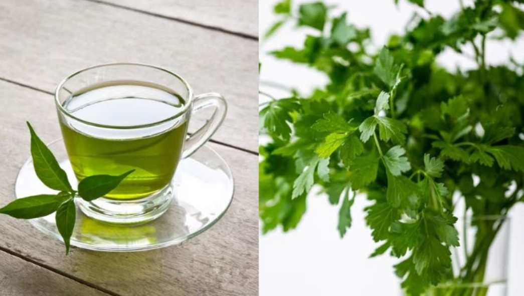 Té de perejil: un remedio casero para aliviar cólicos menstruales