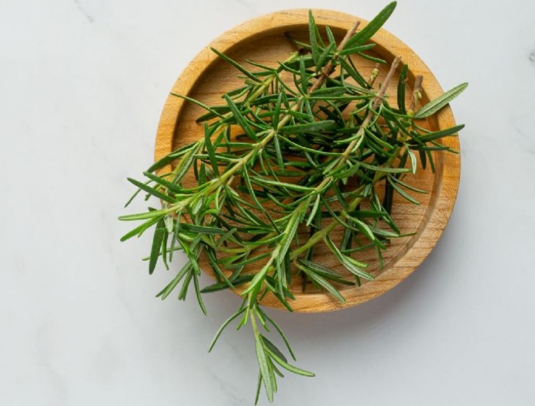 El poder del romero: el remedio natural contra la caída del cabello