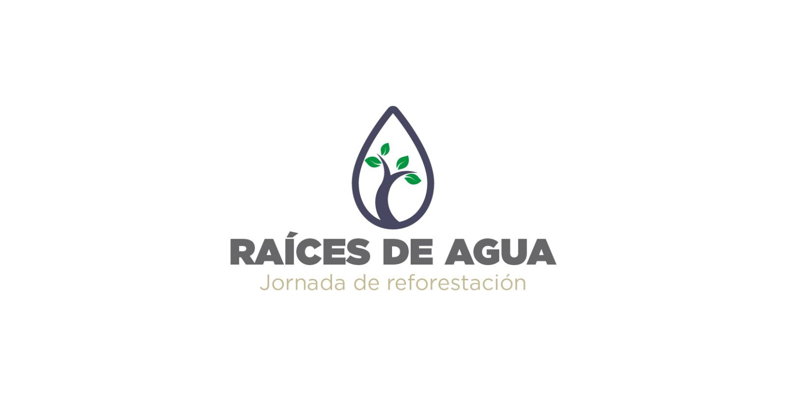 sosapach lanza programa 1