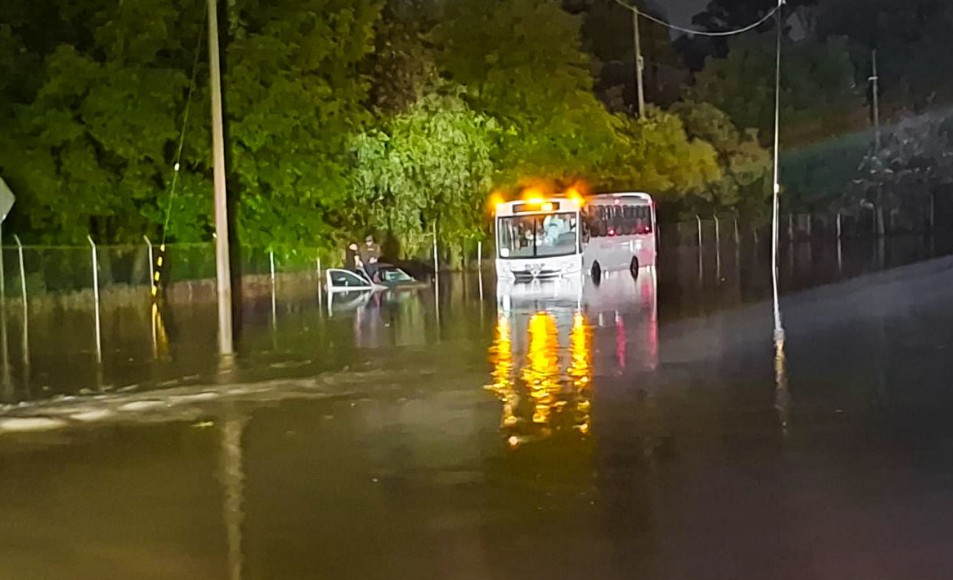 Intervención inmediata de la Policía Auxiliar