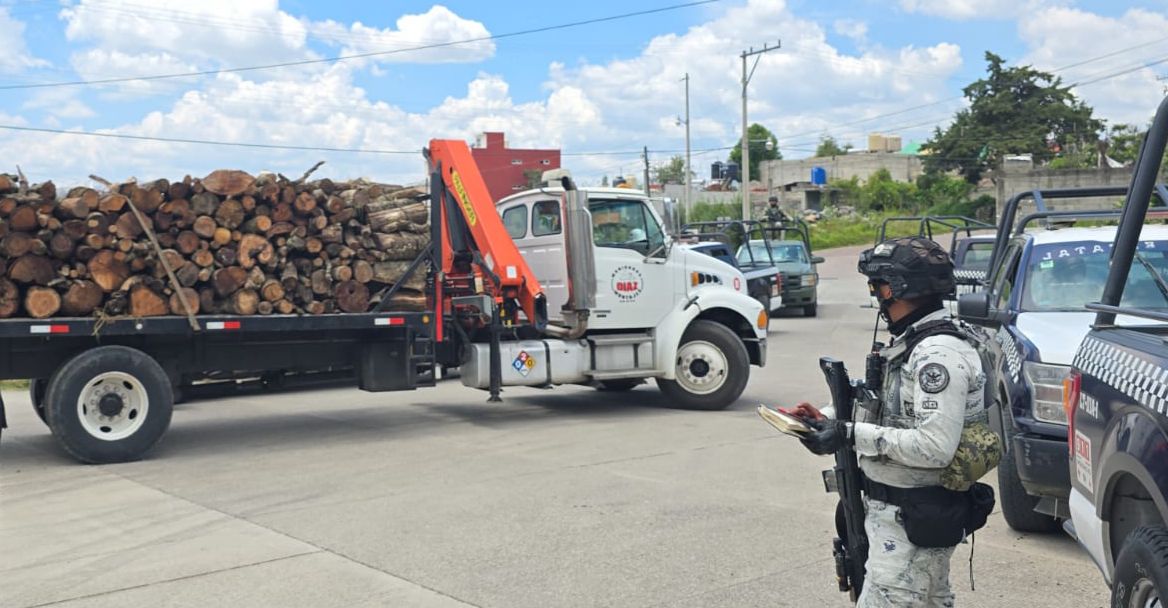 Aseguran material forestal tras cateo en inmueble, en Teolocholco