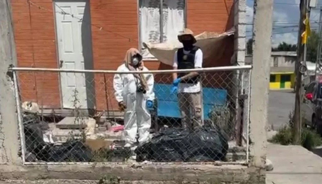Cateo histórico en Tehuacán por maltrato animal