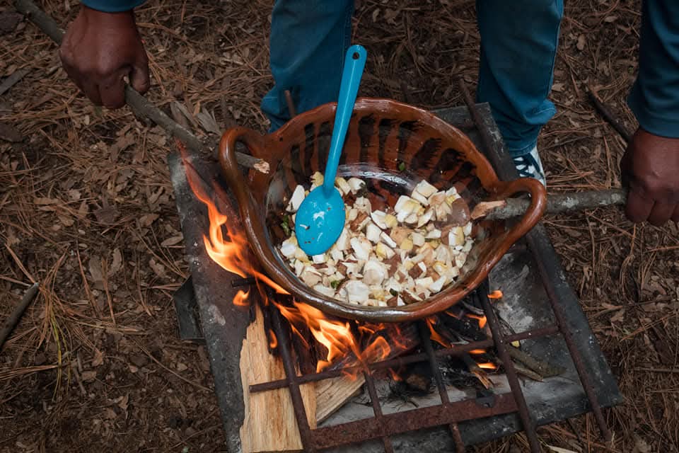 Segundo Festival de Hongos en Teolocholco: gastronomía, arte y cultura indígena