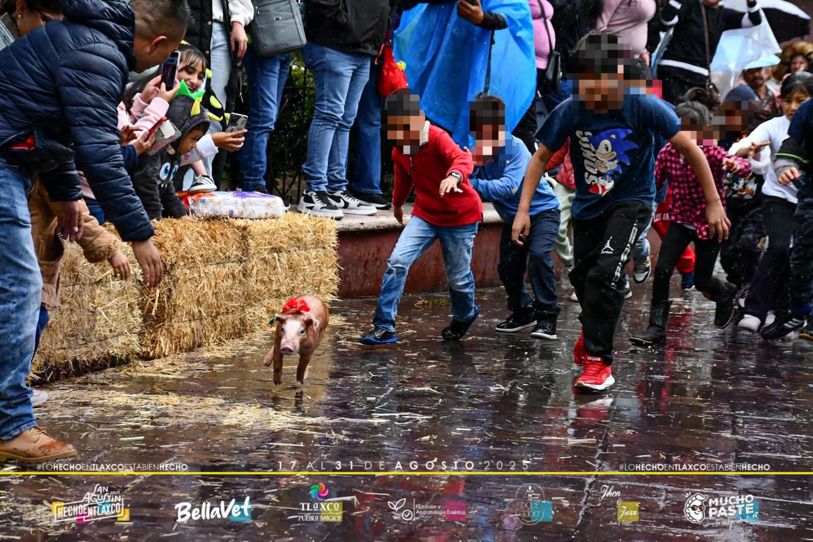 Reconoce Tlaxco error en evento de "Puerco Encebado" en Tlaxco