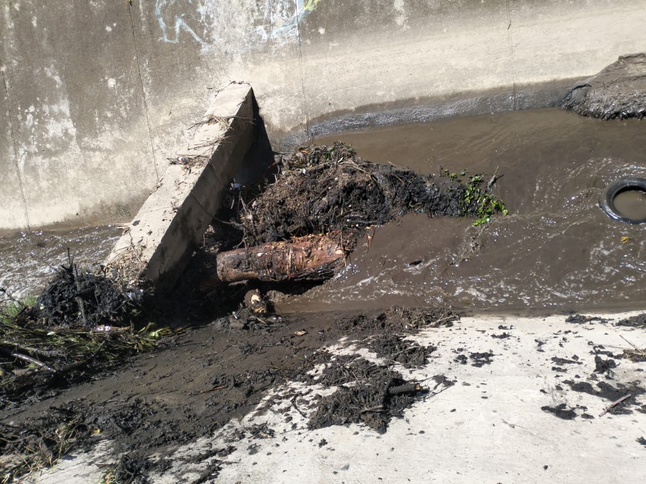 Atiende Tonantzin Fernández reporte ciudadano y retira escombro del río Rabanillo