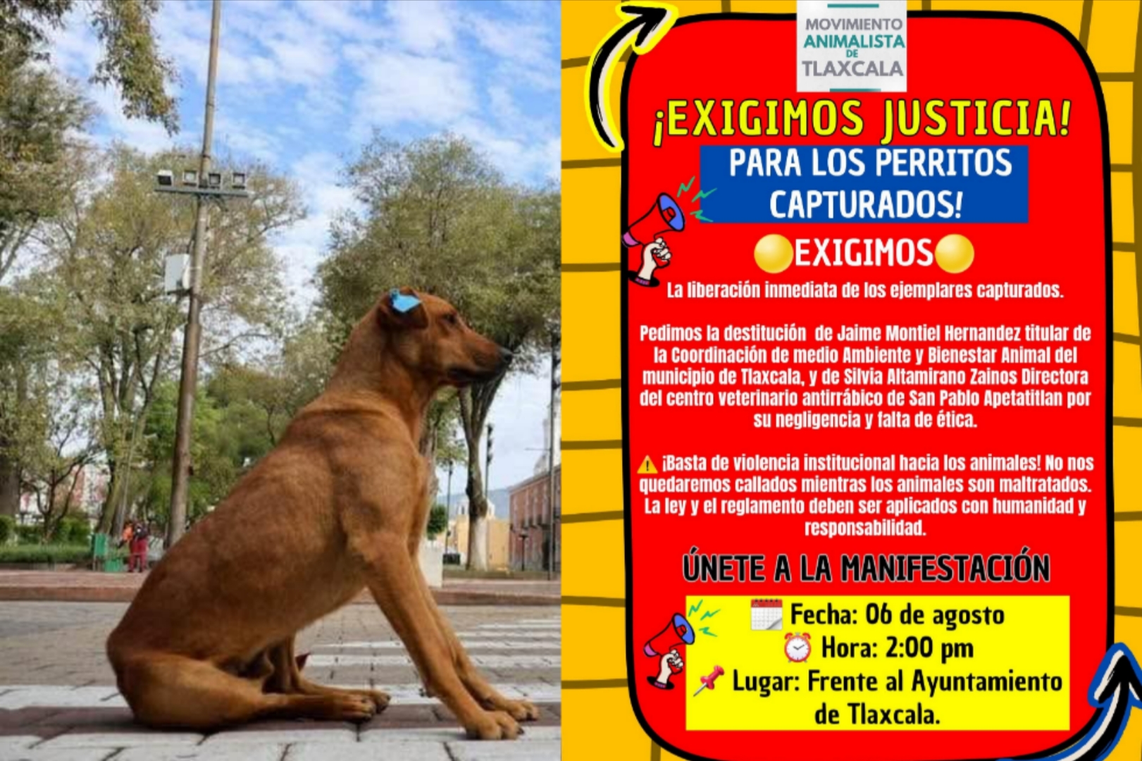 Anuncian animalistas marcha en la Capital por destitución de funcionario