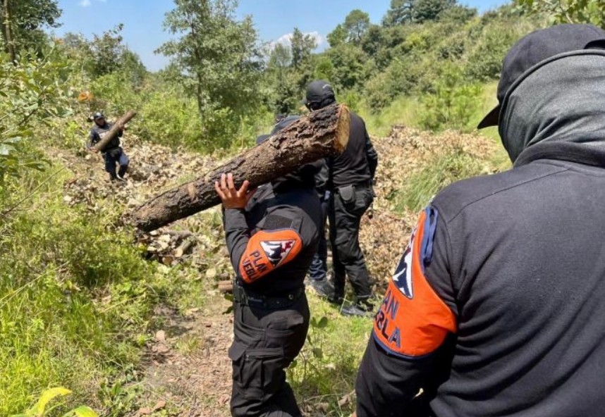 Operativo conjunto en defensa del bosque