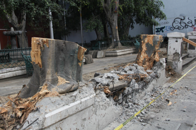 Regidores cuestionan transparencia del programa Calle Viva en Puebla