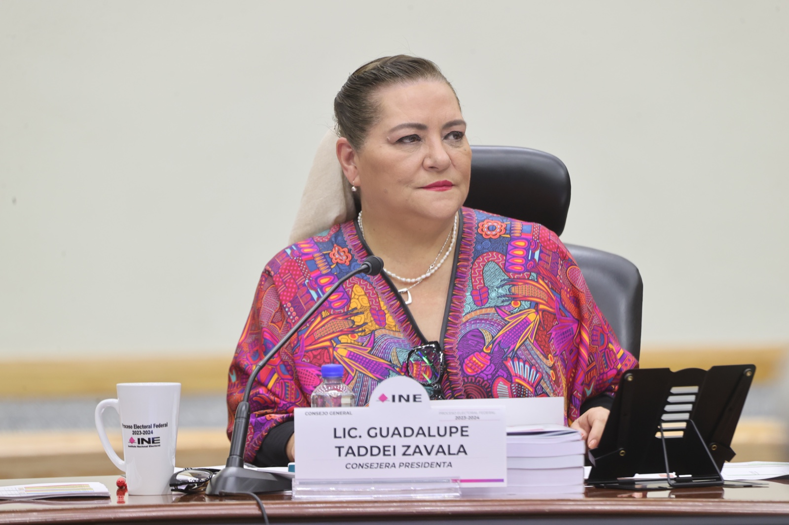 Taddei: INE no integrará comisión presidencial, pero sí dará opinión