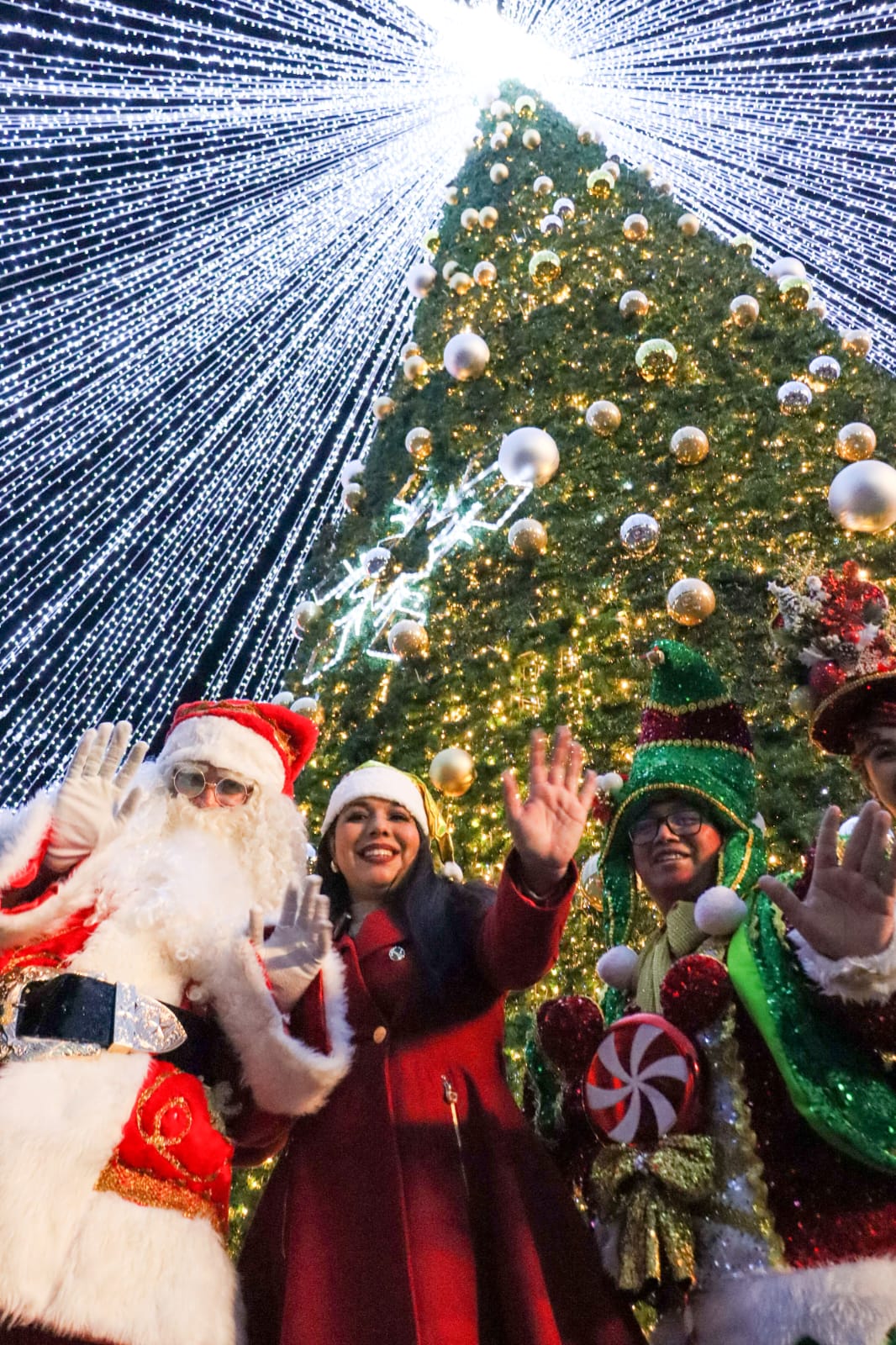 tfd enciende arbol de navidad 4