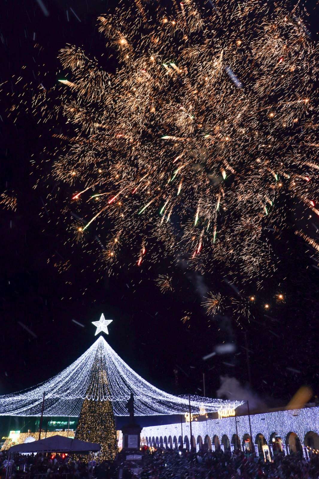 tfd enciende arbol de navidad 5