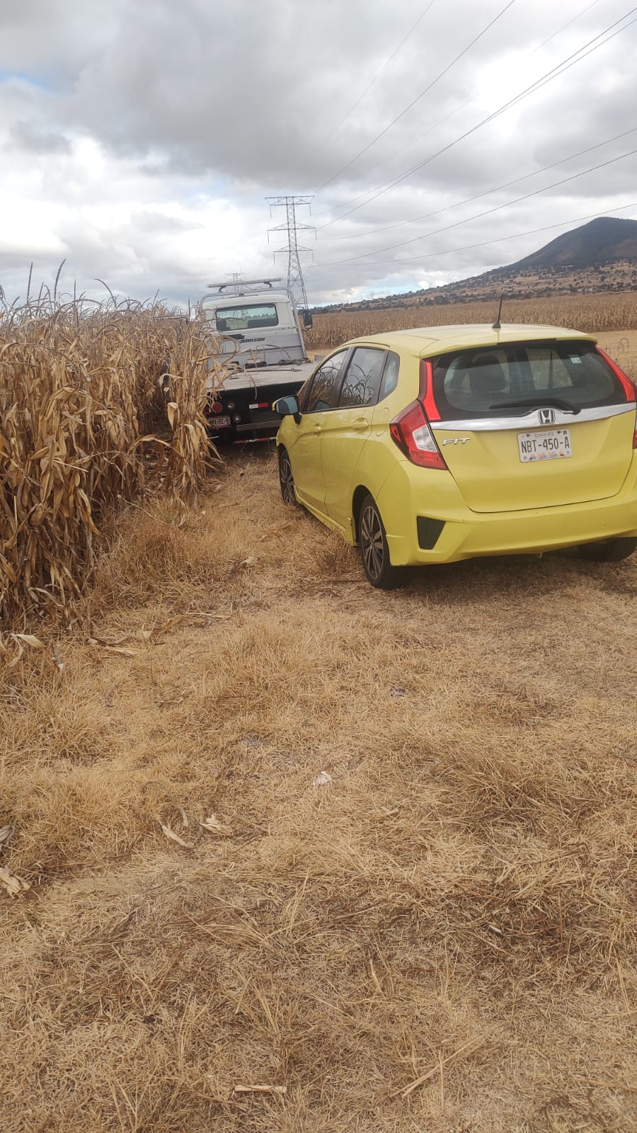 Estudiante del CBTA 162 atropellado en Nanacamilpa; policía asegura el vehículo responsable abandonado en un sembradío