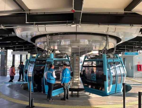 Constructora a cargo del cablebús de Puebla deberá reponer más de 10 mil árboles