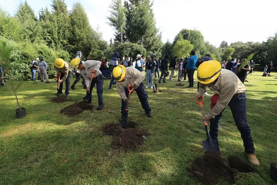 Tlaxcala invierte 17.1 mdp para rescatar bosques y reforestar más de 4 mil hectáreas