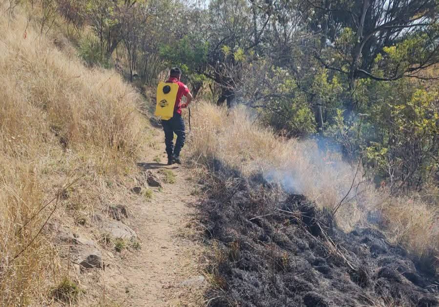 Lluvias atípicas no impiden incendios en cerro Zapotecas