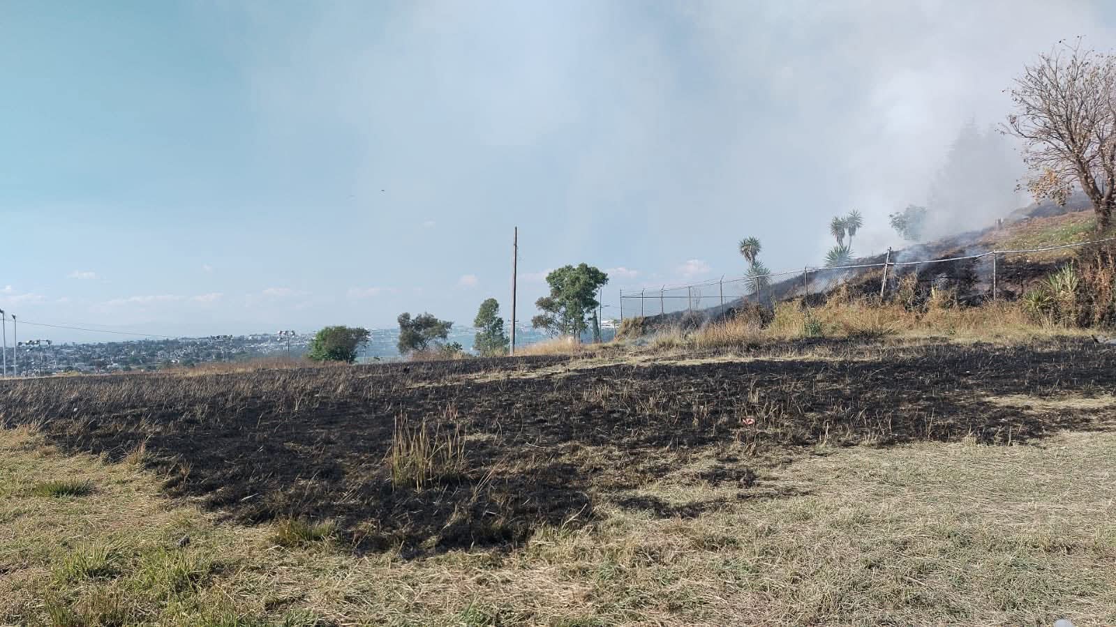 Cuerpos de emergencia controlan incendio de vegetación en la colonia Ignacio Romero Vargas