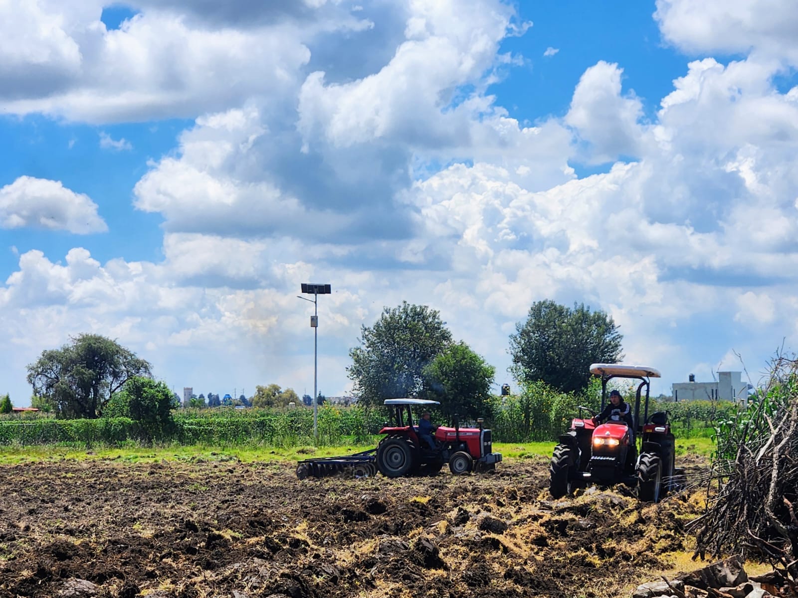 UTH apuesta por la agricultura del futuro con nueva ingeniería sustentable