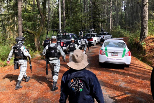 Golpe a la tala ilegal en Tlaxcala: más decomisos, detenidos y vigilancia