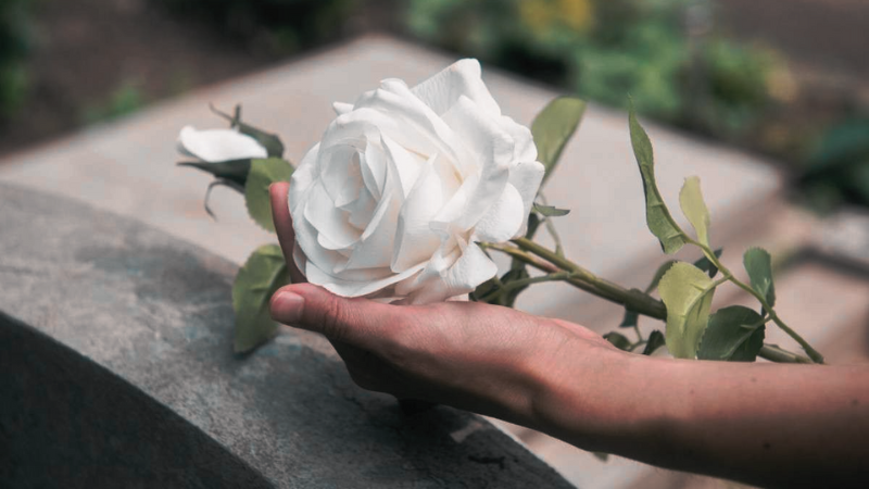 El fin de una era: las leyendas que nos dejaron en 2025