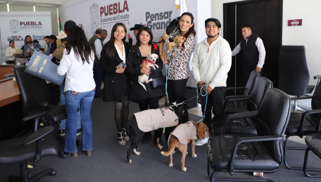 Una campaña que busca salvar vidas en invierno