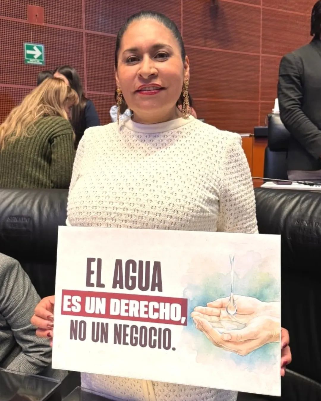Ana Lilia Rivera celebra aprobación de la Ley General de Aguas