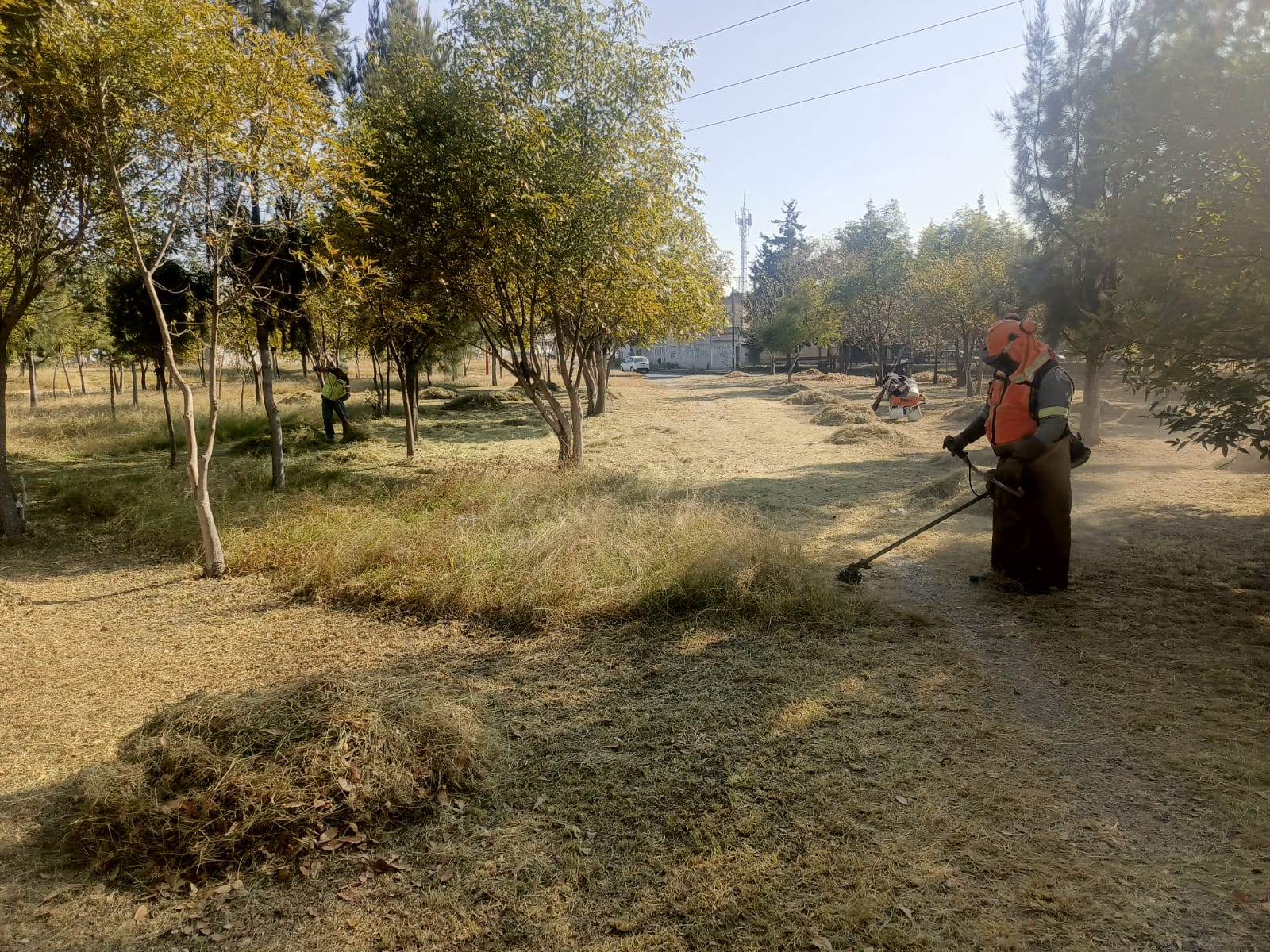 limpieza y mantenimiento spch 3