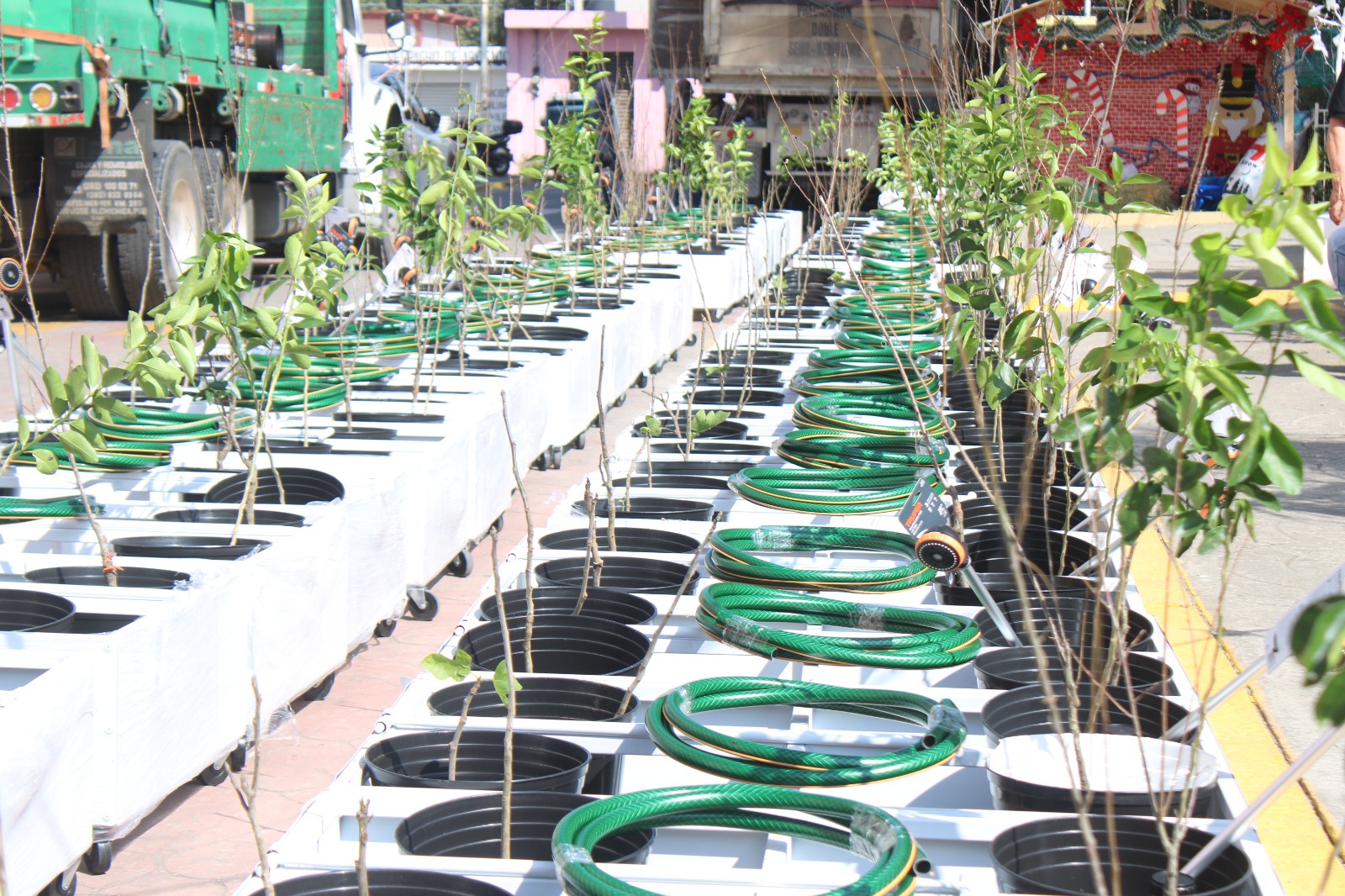 apoyo campo coronango 3