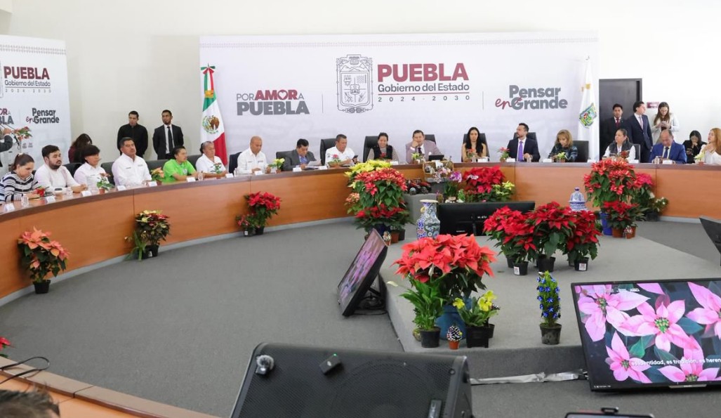 Producción que florece todo el año