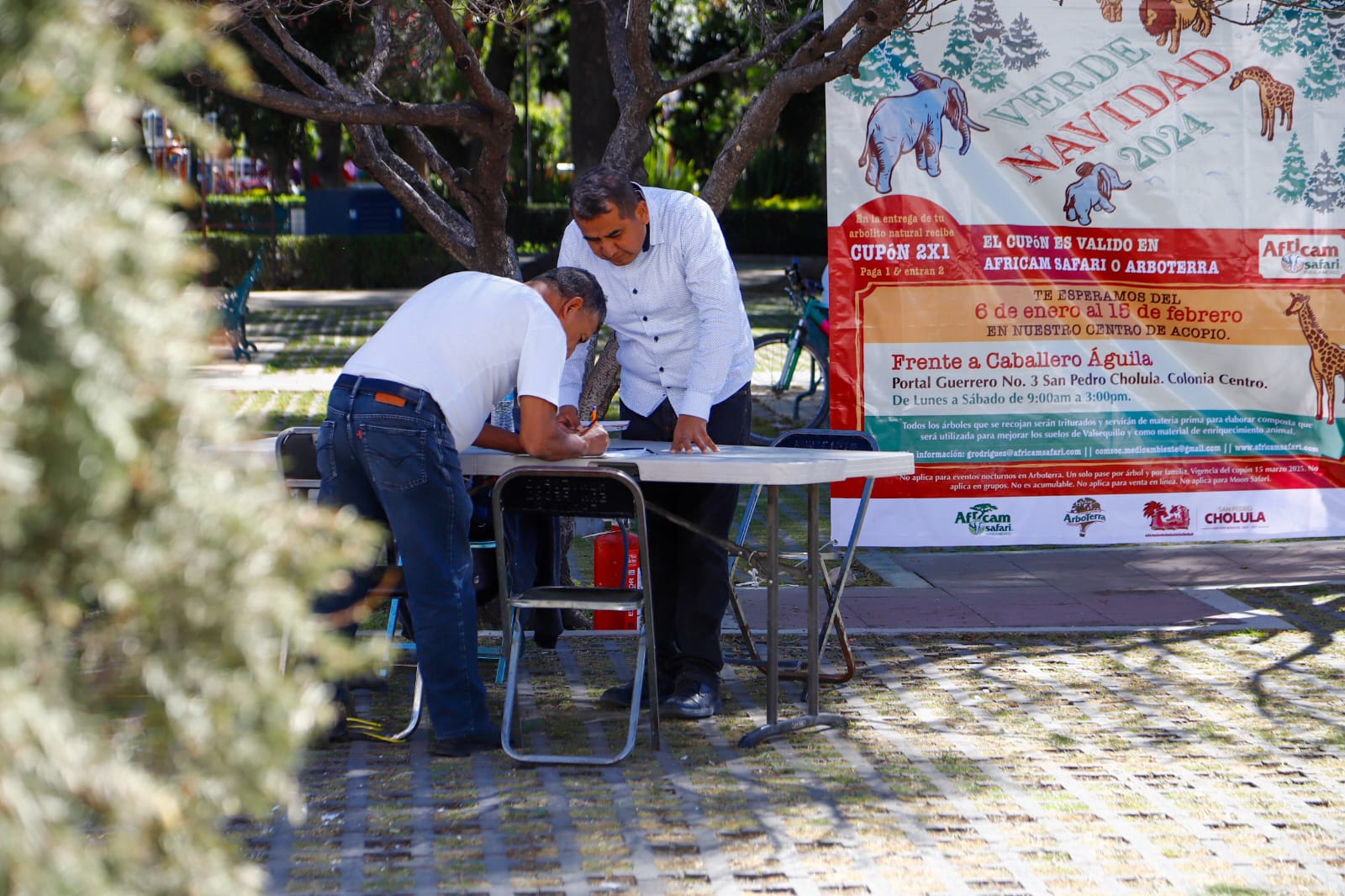Ayuntamiento de Cholula invita a participa en la iniciativa "Verde Navidad"