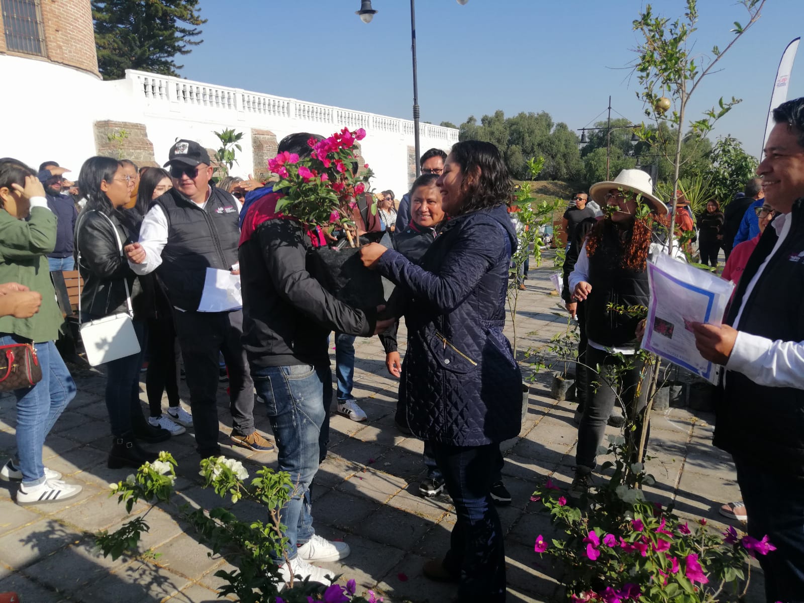 Encabeza Guadalupe Cuautle programa "Adopta un Árbol" en San Andrés Cholula