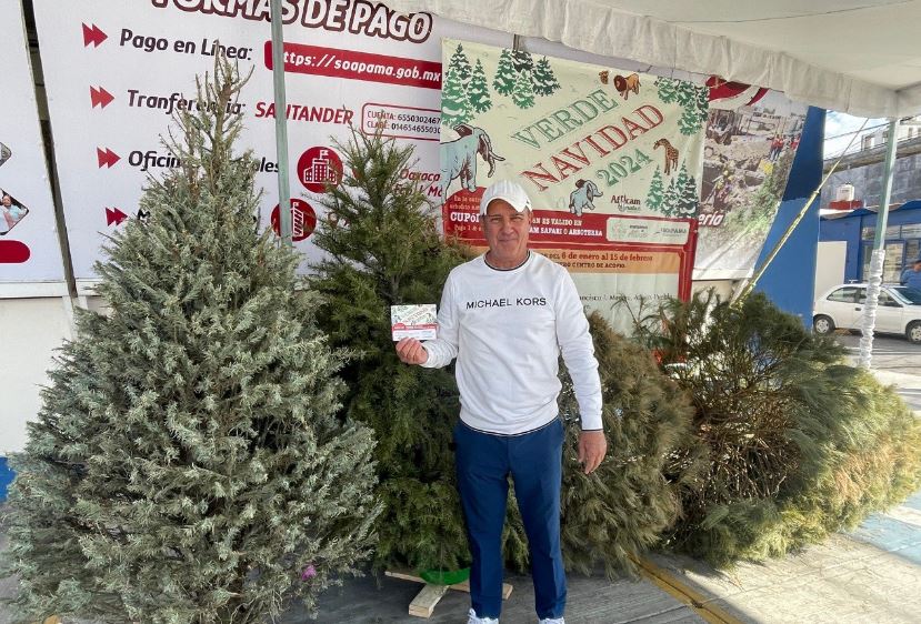 “Verde Navidad 2024”: Recicla tu árbol en Atlixco y recibe cupón 2x1