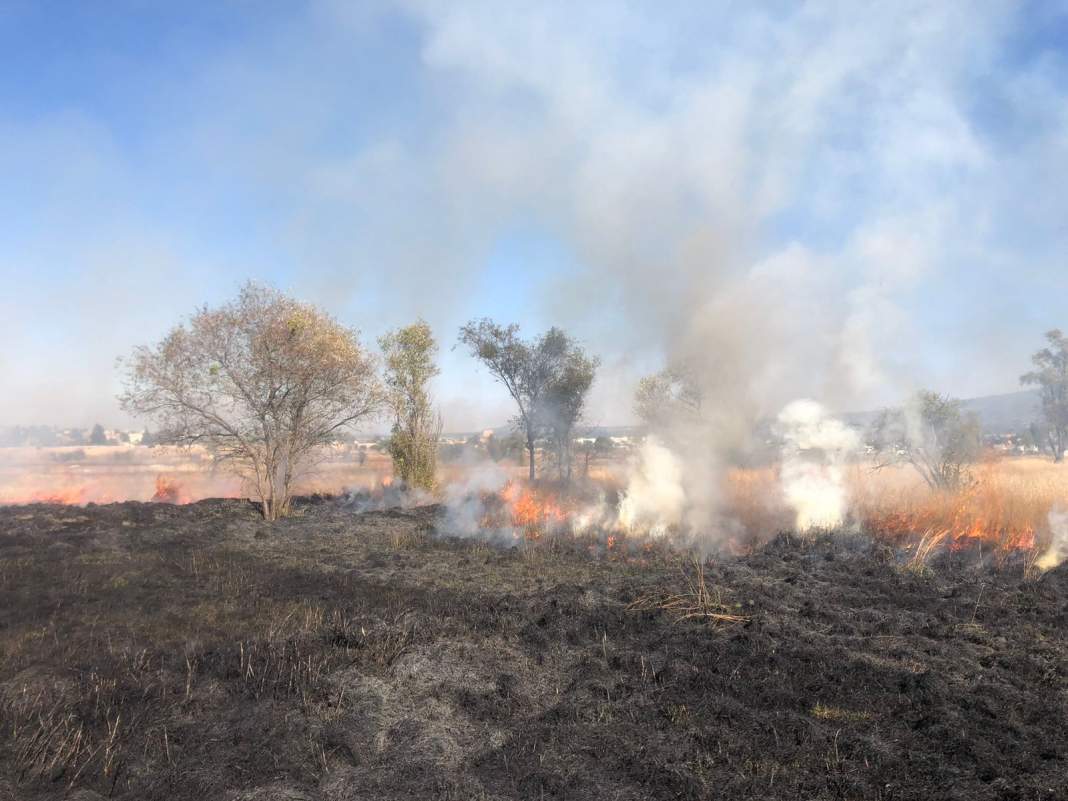 Protección Civil de Tlaxcala controla incendios de pastizales en la capital