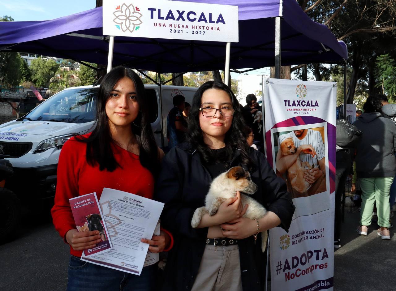 ¡Adogtame 2025 inicia con éxito! 12 perritos encuentran un hogar
