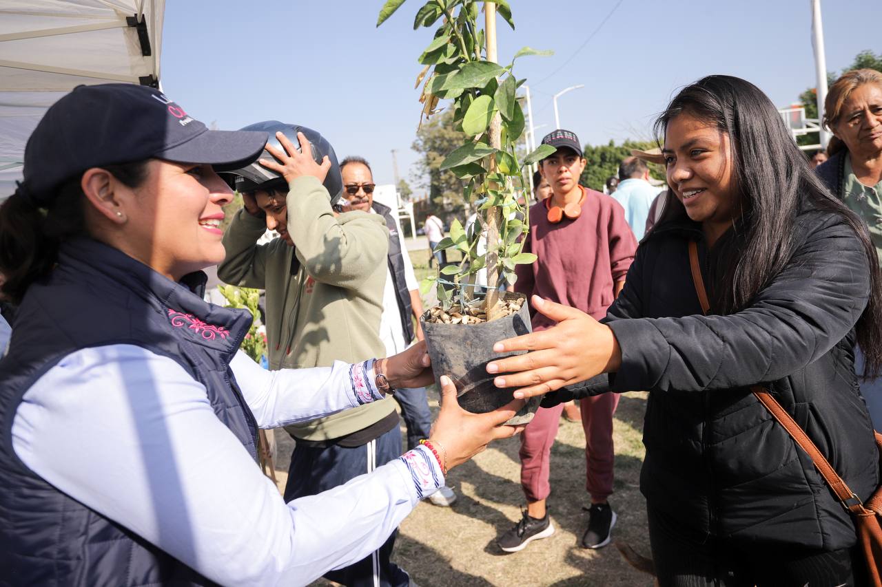 Promueve Lupita Cuautle el cuidado del medio ambiente con adopción de árboles 