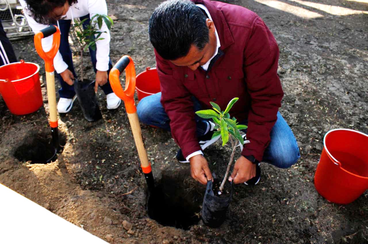 Impulsa Coronango el cuidado del medio ambiente con reforestación y programa Adopta un Árbol