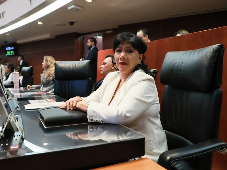 "Candidatos al PJ sin trayectoria": Anabell Ávalos vota en contra de aspirantes a magistrados