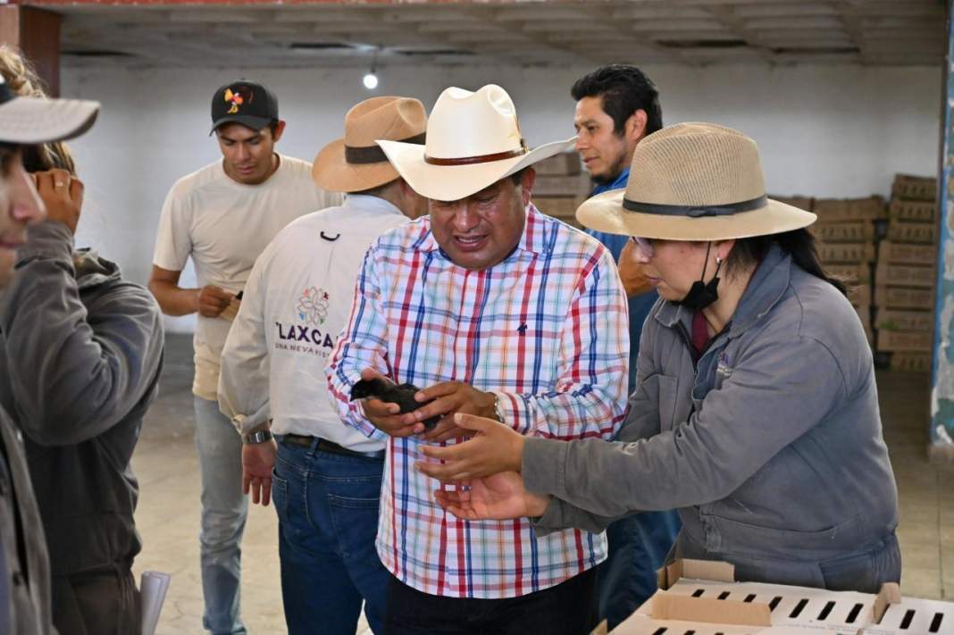 SIA impulsa producción familiar con entrega de especies menores en Tlaxcala