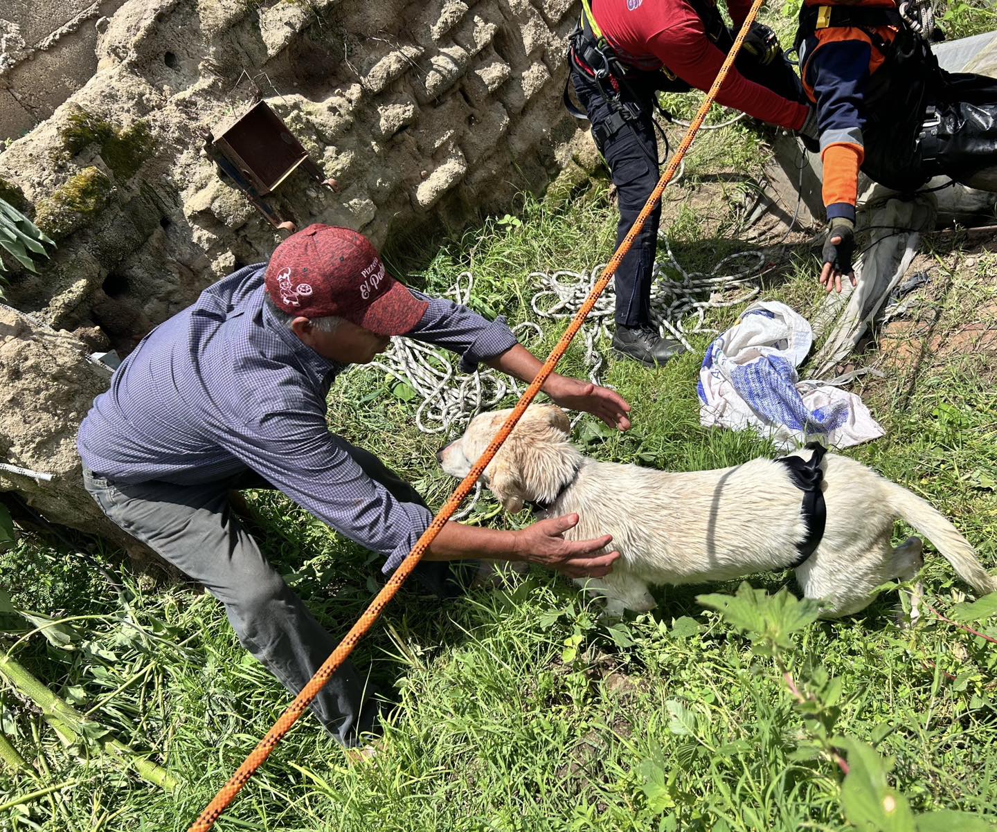 Bomberos de San Andrés Cholula rescatan a perrito que cayó a un pozo de 25 metros en San Luis Tehuiloyocan