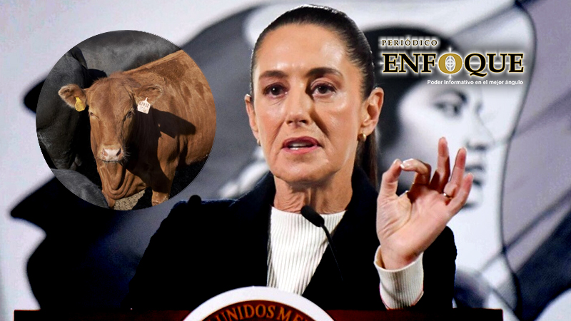 EE. UU. anuncia reapertura gradual de la frontera para el ingreso de ganado mexicano