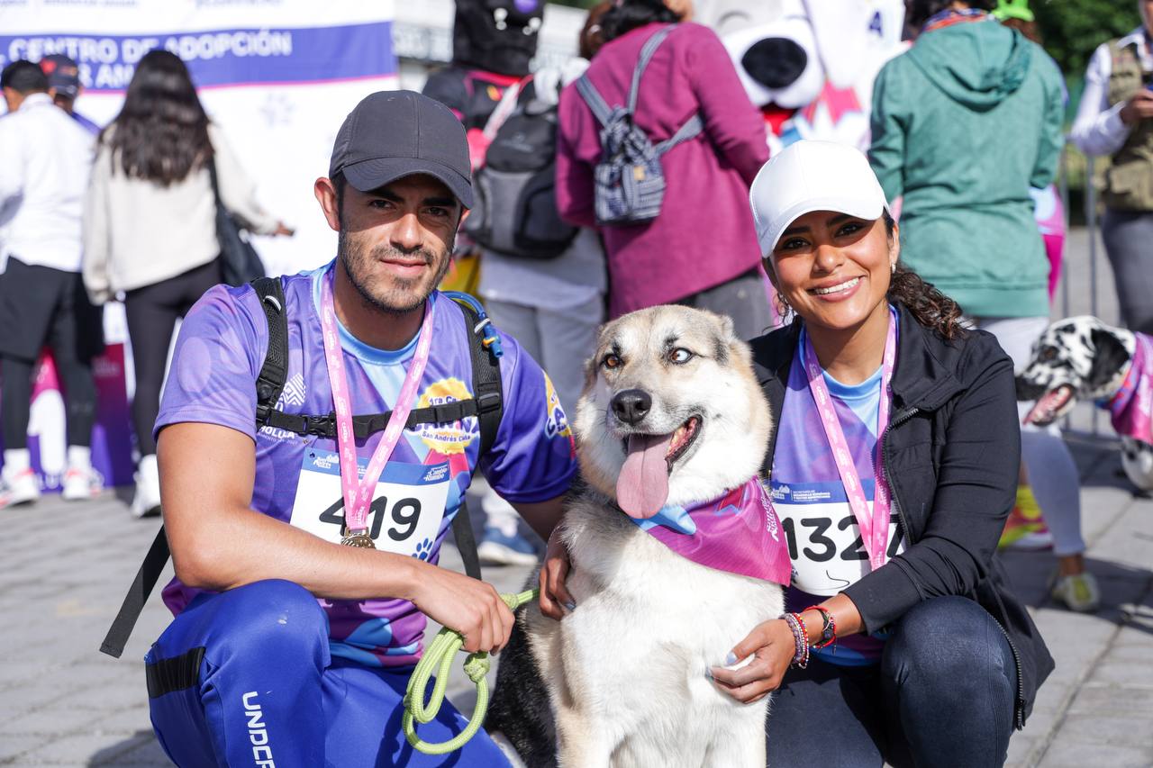 primera carrera canina sach 3