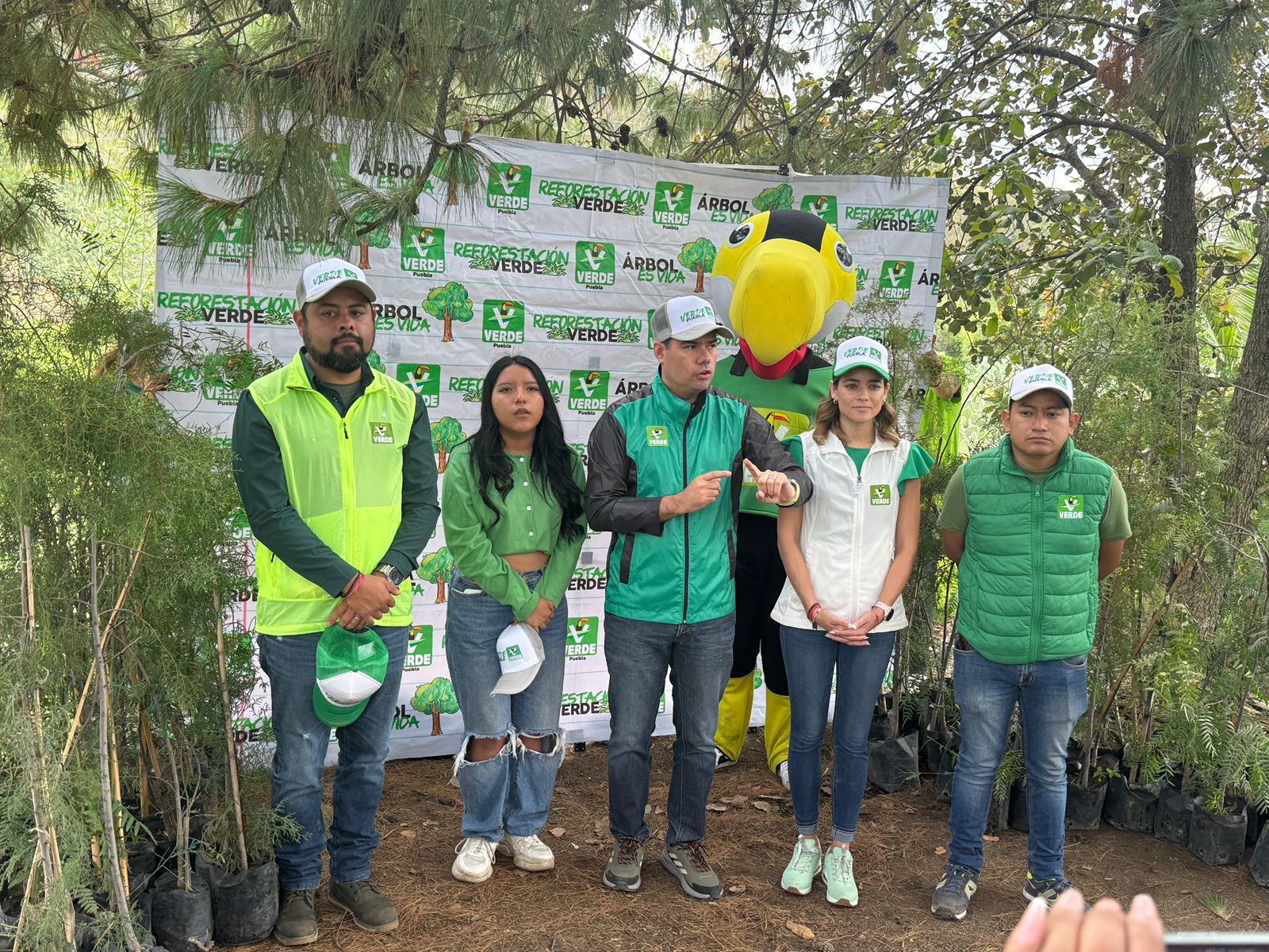 PVEM refuerza presencia con jornada de reforestación en San Pedro Cholula