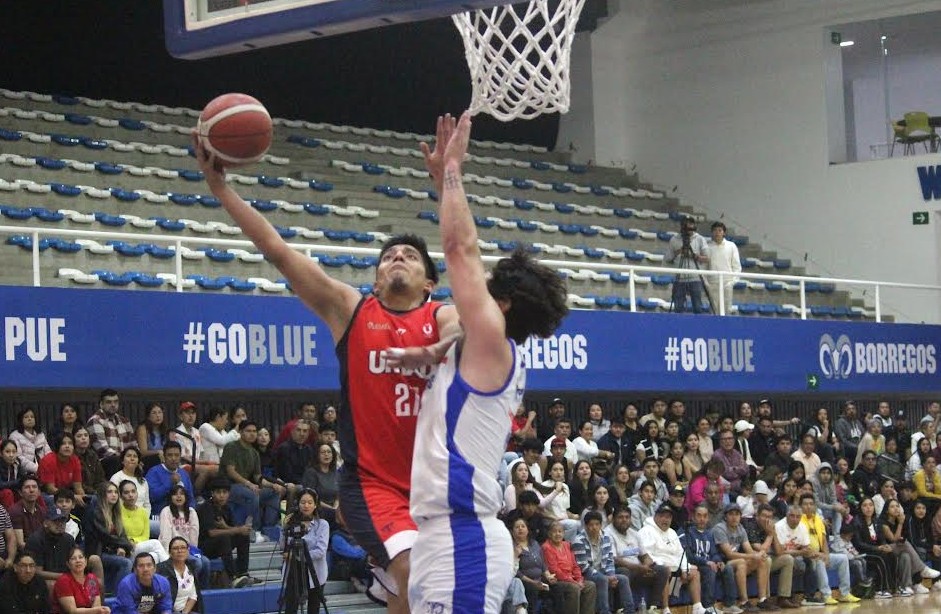 Nuevo ciclo para los Tigres Blancos de la UMAD con coach Radai Villaseñor