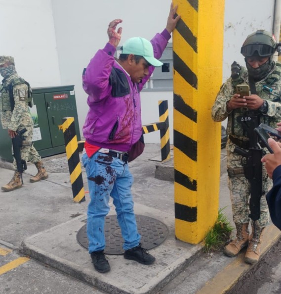 morados2